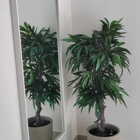 Silver Coast Villa *