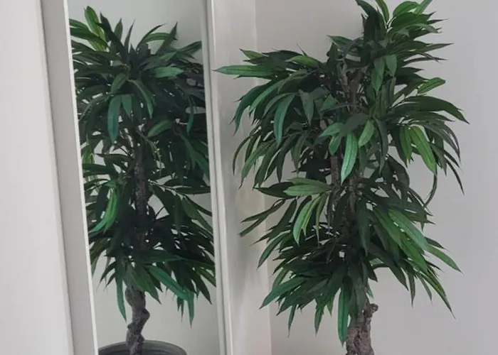 Silver Coast Villa *